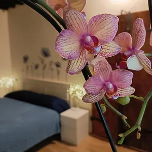 Il Giardino Segreto Apartment